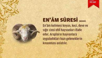 Enam suresi