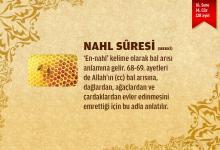 Nahl Suresi (16.sure)