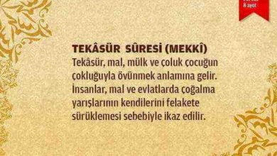 Tekasur Suresi