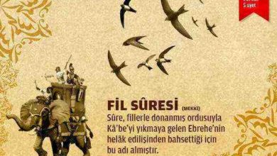 Fil Suresi (105.sure)