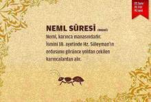 Neml Suresi