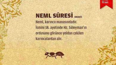 Neml Suresi (27.Sure)