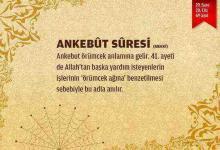 Ankebut Suresi