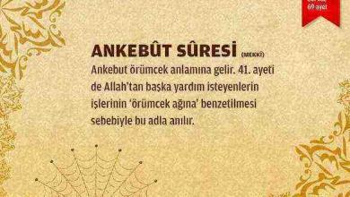 Ankebut Suresi