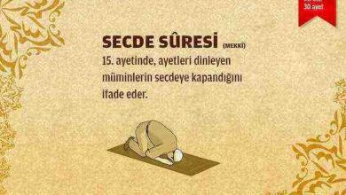 Secde Suresi