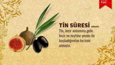 Tin Suresi (95.sure)