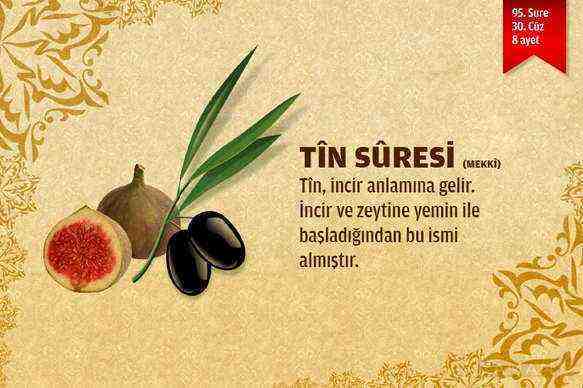 Tin Suresi (95.sure)