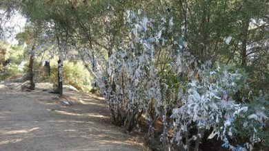 Uğursuzluğun Çaresi