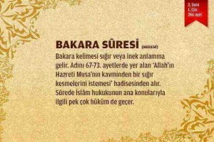 Bakara Suresi