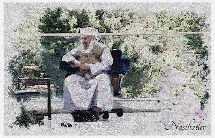 Gavs Nedir