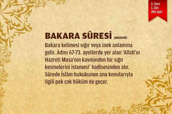 Reklamsız bakara suresi dinle
