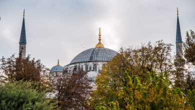 Allah Teala'nın sıfatları