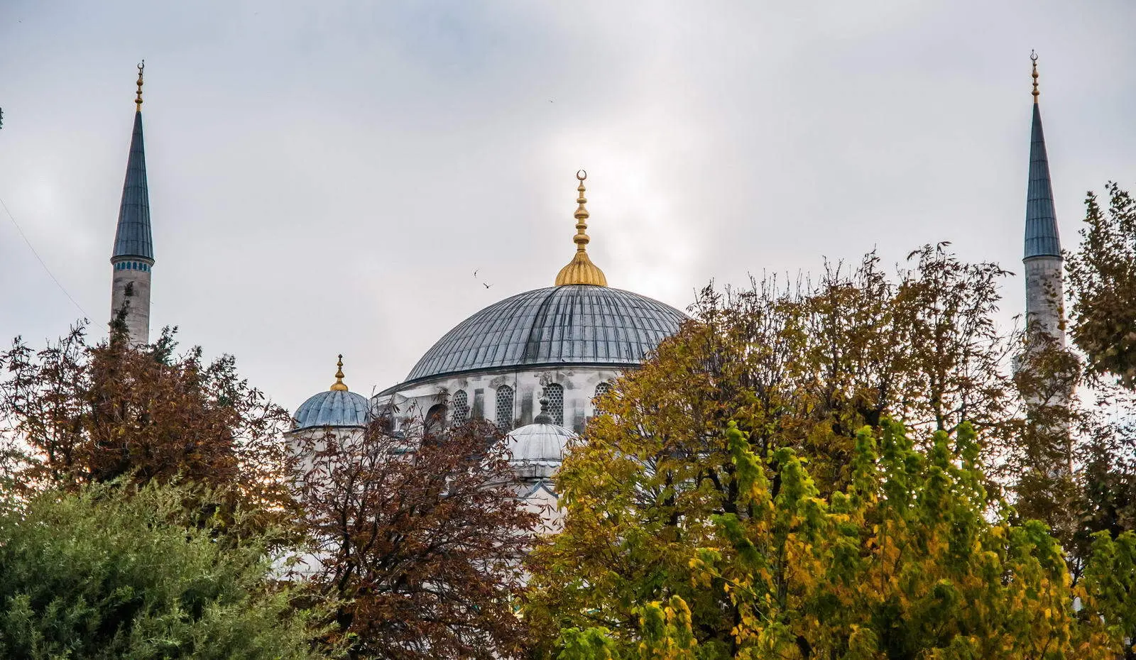 Allah Teala'nın sıfatları